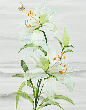 生機(jī)無(wú)限-1TC